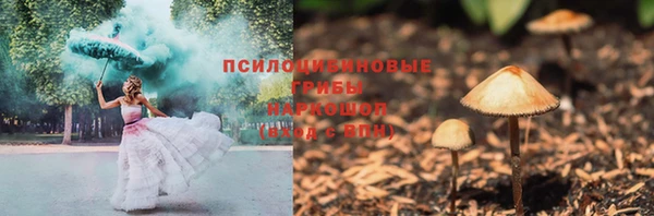 стаф Тольятти