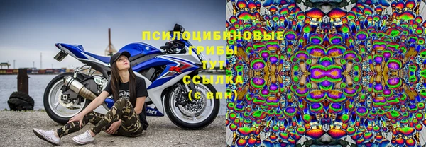 винт Абинск