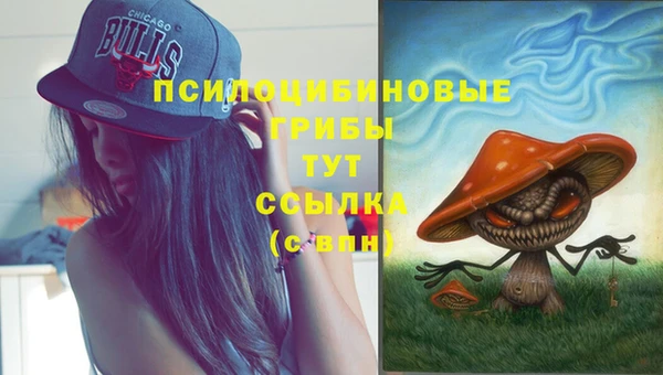 винт Абинск