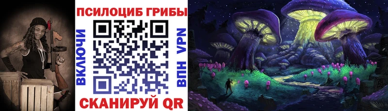 Псилоцибиновые грибы Cubensis  цена   Злынка 